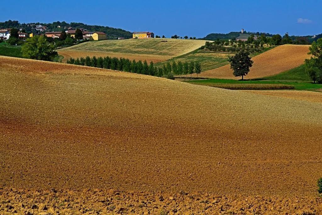 Bed and Breakfast Cascina Manu Rosignano Monferrato Zewnętrze zdjęcie