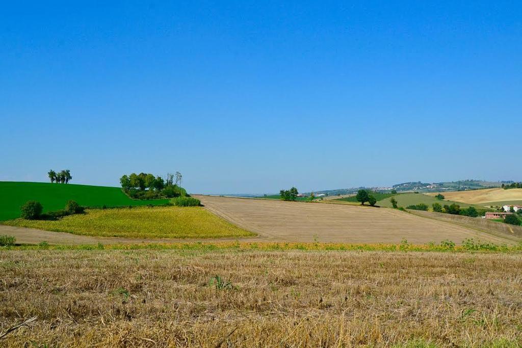 Bed and Breakfast Cascina Manu Rosignano Monferrato Zewnętrze zdjęcie