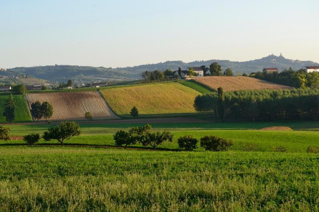 Bed and Breakfast Cascina Manu Rosignano Monferrato Zewnętrze zdjęcie