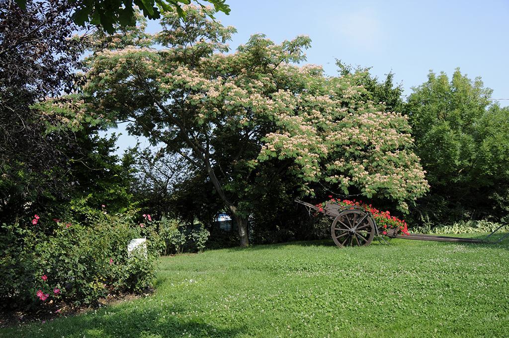 Bed and Breakfast Cascina Manu Rosignano Monferrato Zewnętrze zdjęcie