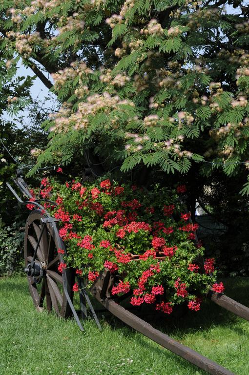 Bed and Breakfast Cascina Manu Rosignano Monferrato Zewnętrze zdjęcie